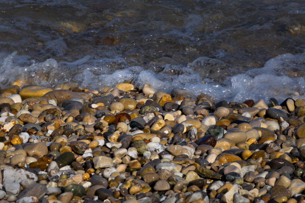Lake Michigan shoreline with glistening wet rocks and reflected light