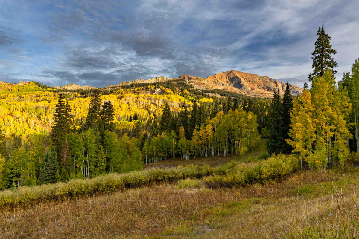 Aspen-covered hillsides and mountain ridges along Kebler Pass near Crested Butte, Colorado