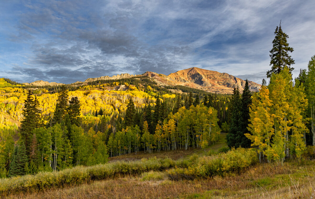 Panoramic view of golden aspens and mountains along Kebler Pass in Colorado