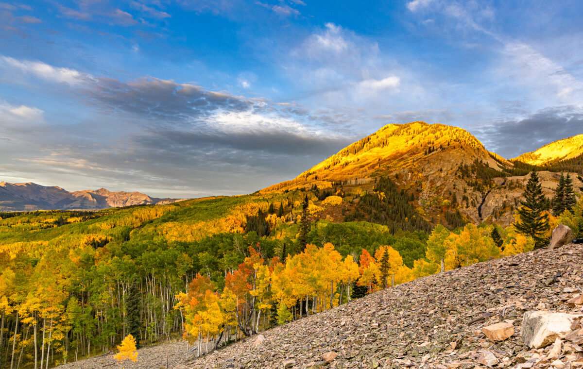Golden aspens and mountain landscape near Ohio Pass in Colorado during fall