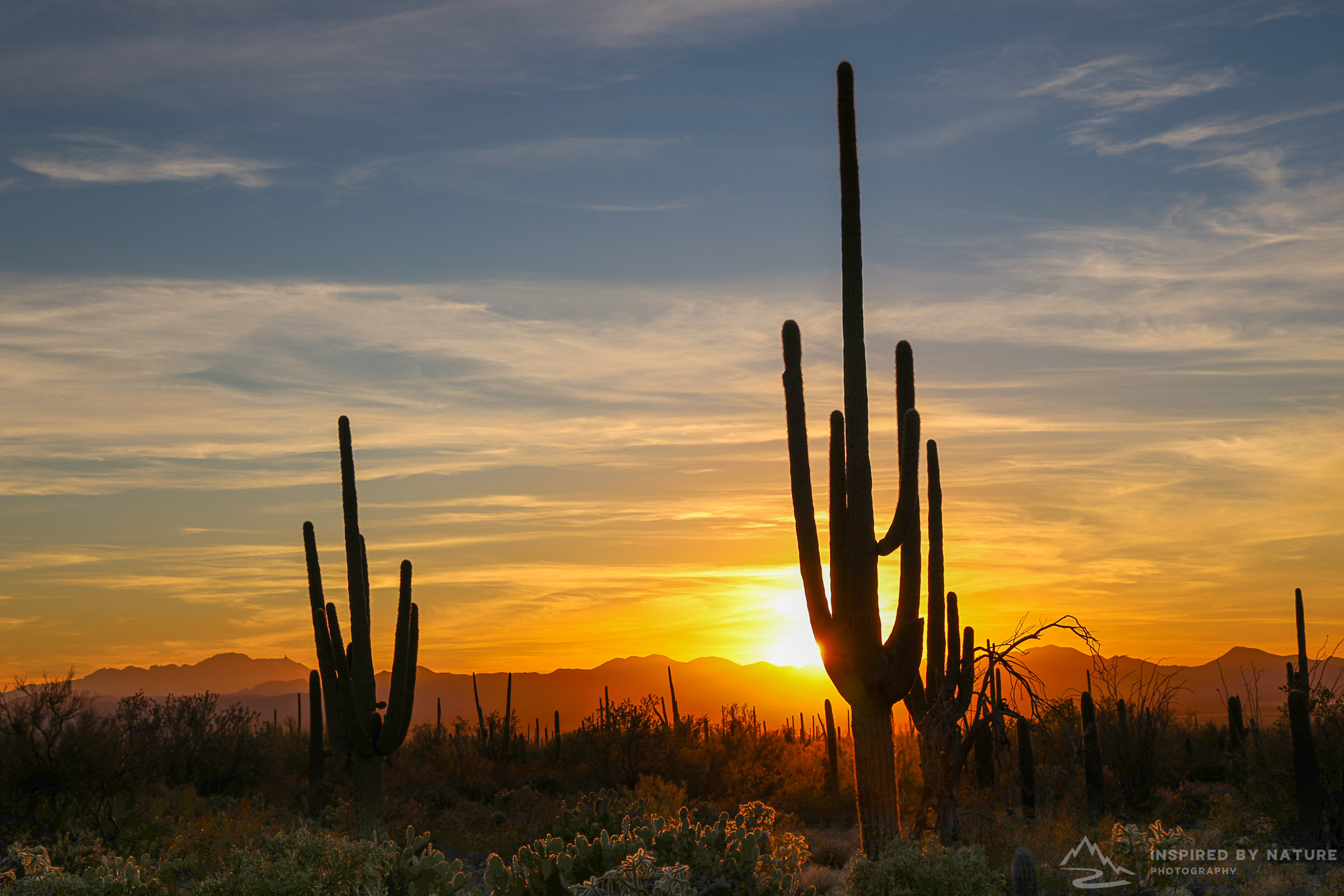 Landscape Photography - Canyons and Deserts