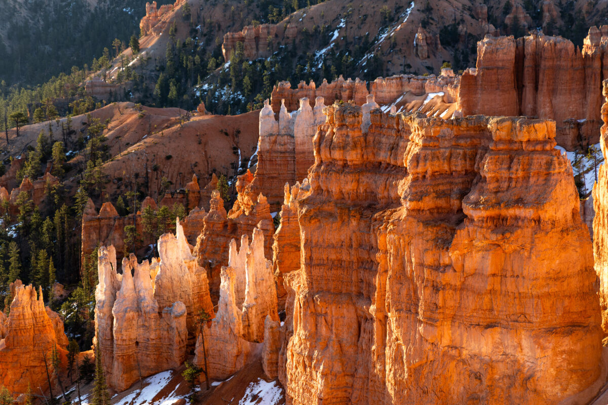 Hoodoo formations at sunrise in Bryce Canyon National Park
