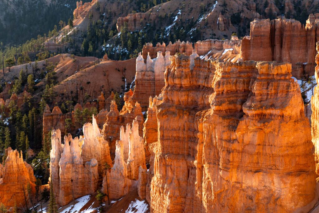 Hoodoo formations at sunrise in Bryce Canyon National Park