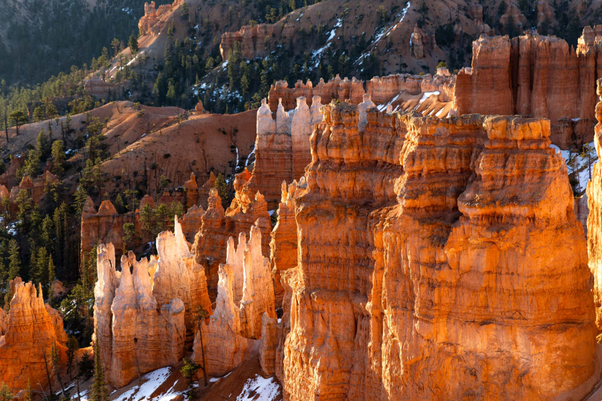 Hoodoo formations at sunrise in Bryce Canyon National Park