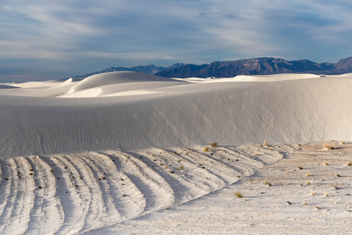 Morning light on white gypsum dunes at White Sands National Park