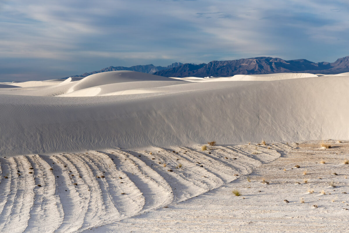 Morning light on white gypsum dunes at White Sands National Park
