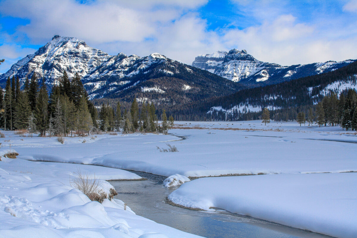 Yellowstone winter landscape in Lamar Valley with layered ridges
