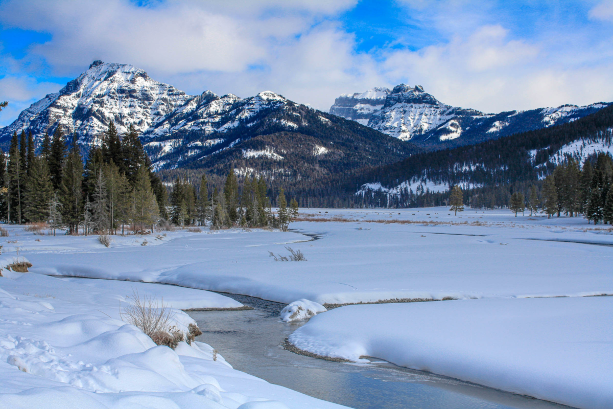 Yellowstone winter landscape in Lamar Valley with layered ridges