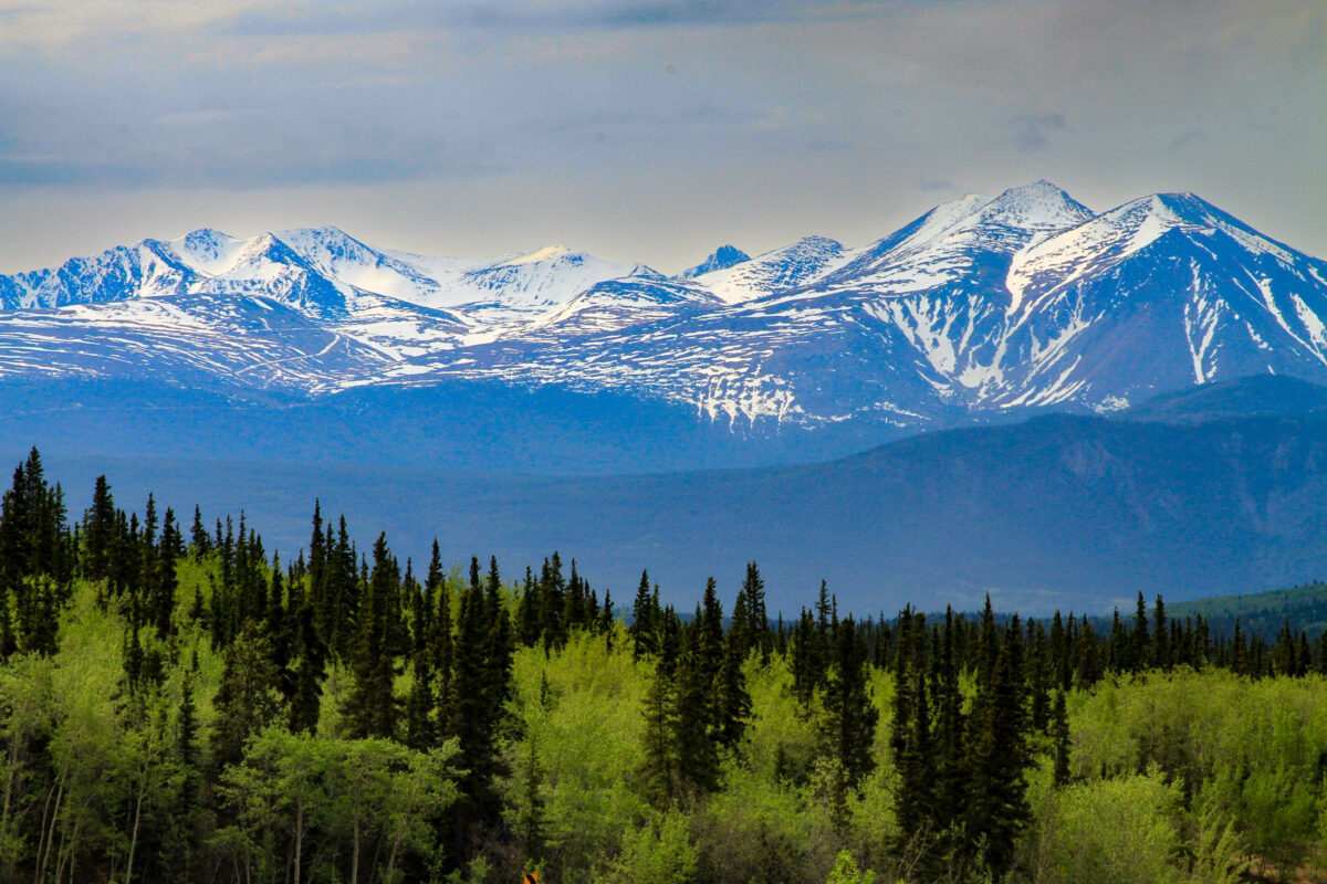 Yukon Canada mountain range above green forest