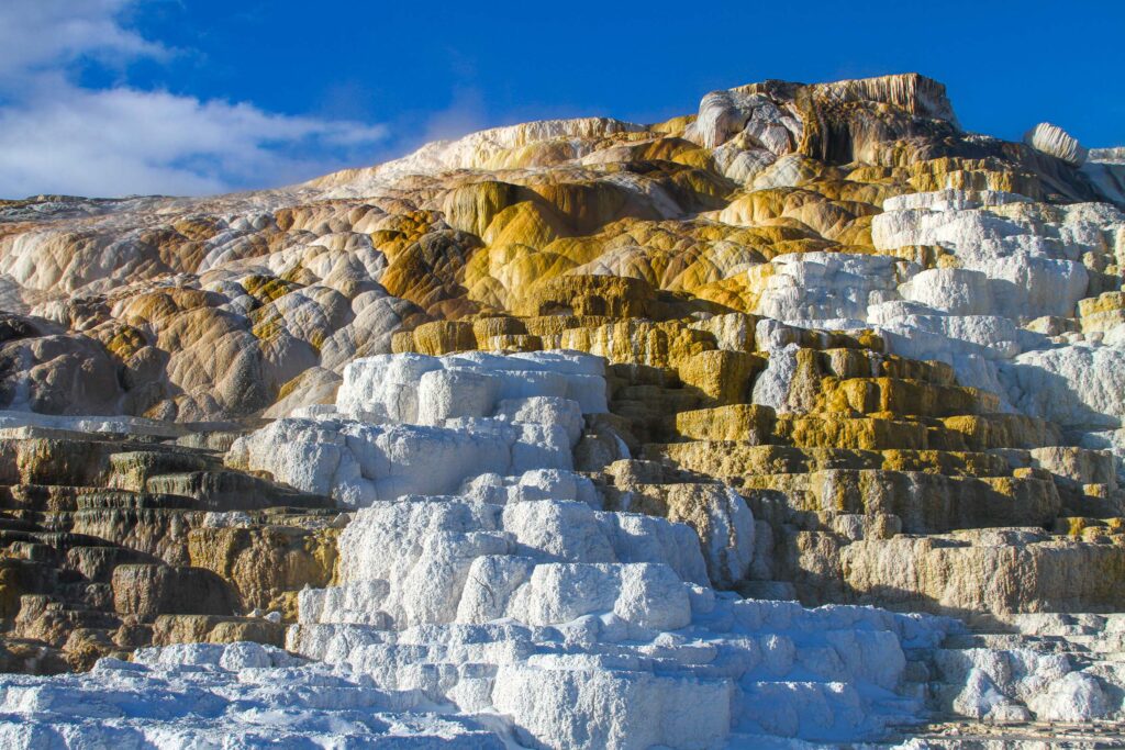Mammoth Hot Springs mineral terraces with layered textures, Yellowstone