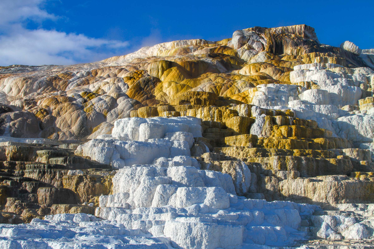 Mammoth Hot Springs mineral terraces with layered textures, Yellowstone