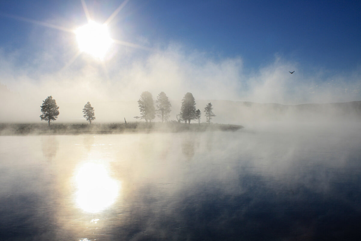 Yellowstone sunrise with mist over calm water and tree reflections