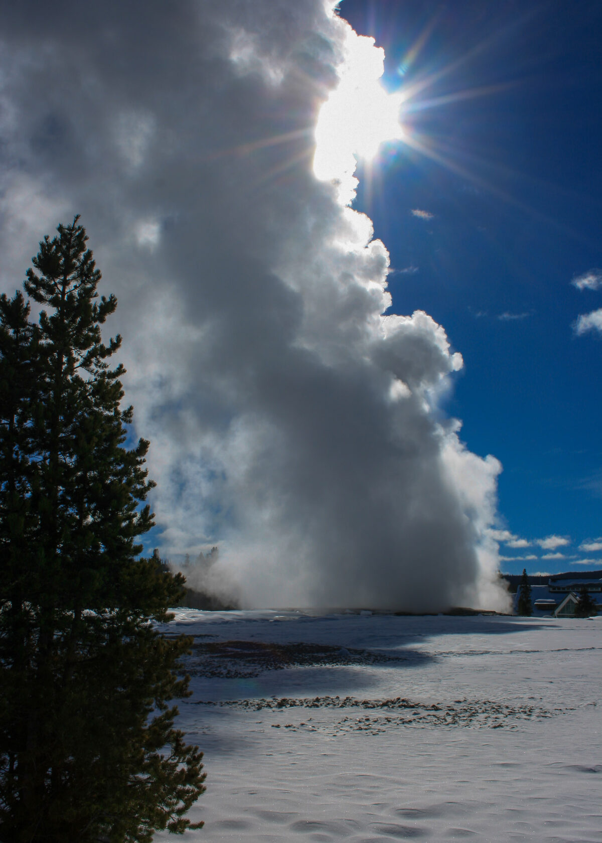 Old Faithful geyser erupting in winter with snow and steam, Yellowstone