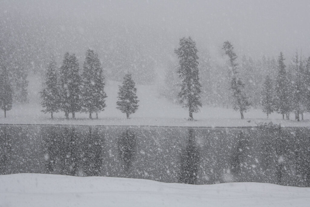 Heavy snowfall over calm lake with tree silhouettes, Yellowstone