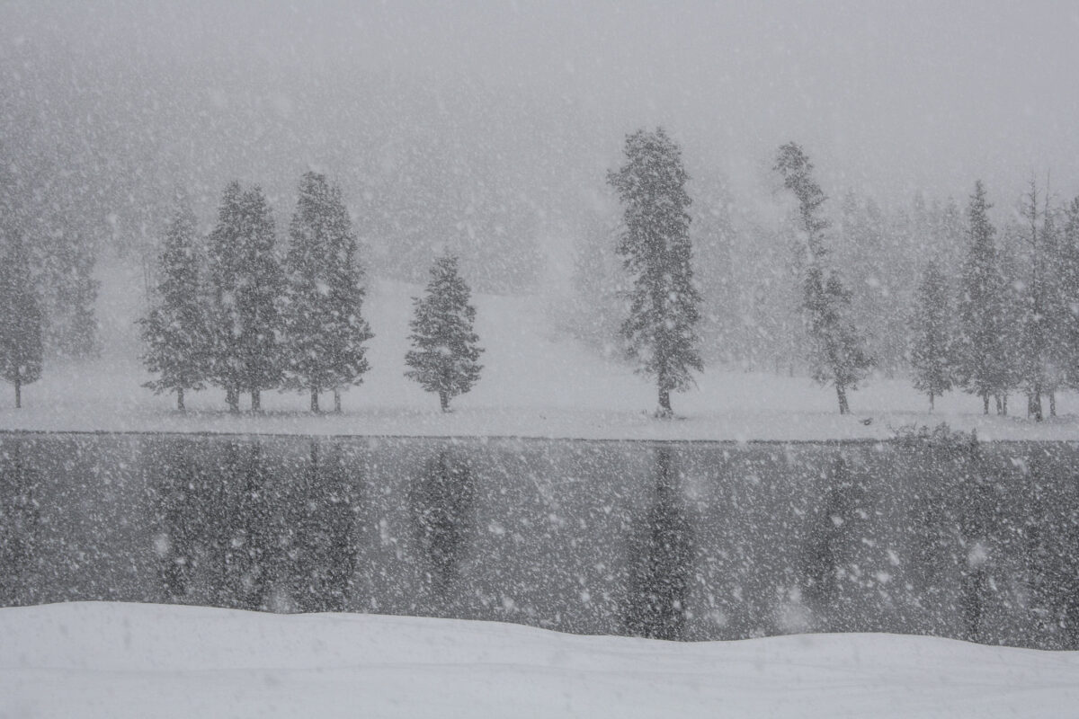 Heavy snowfall over calm lake with tree silhouettes, Yellowstone