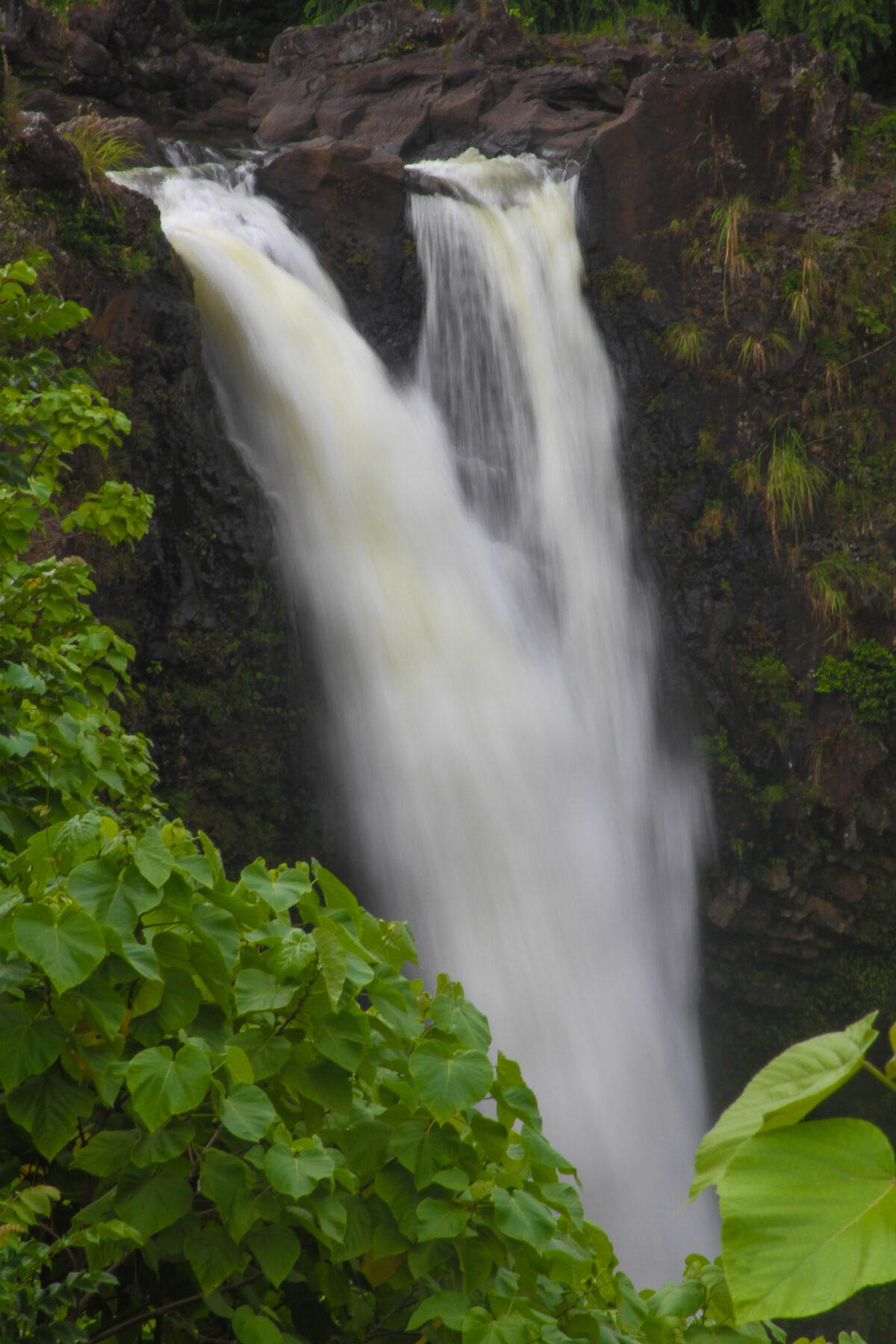 Maui waterfall flowing over dark rock with tropical leaves, Hawaii