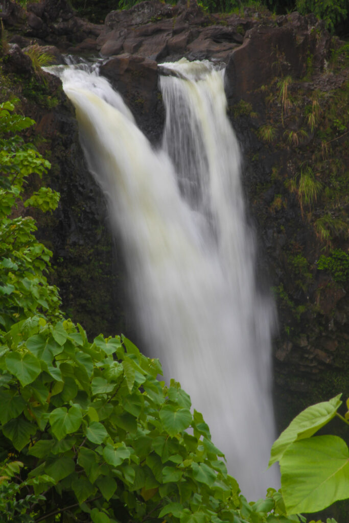 Maui waterfall flowing over dark rock with tropical leaves, Hawaii