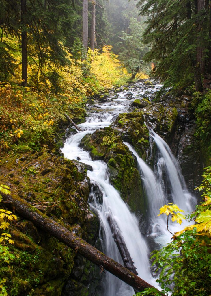 Sol Duc Falls flowing through mossy forest, Olympic National Park