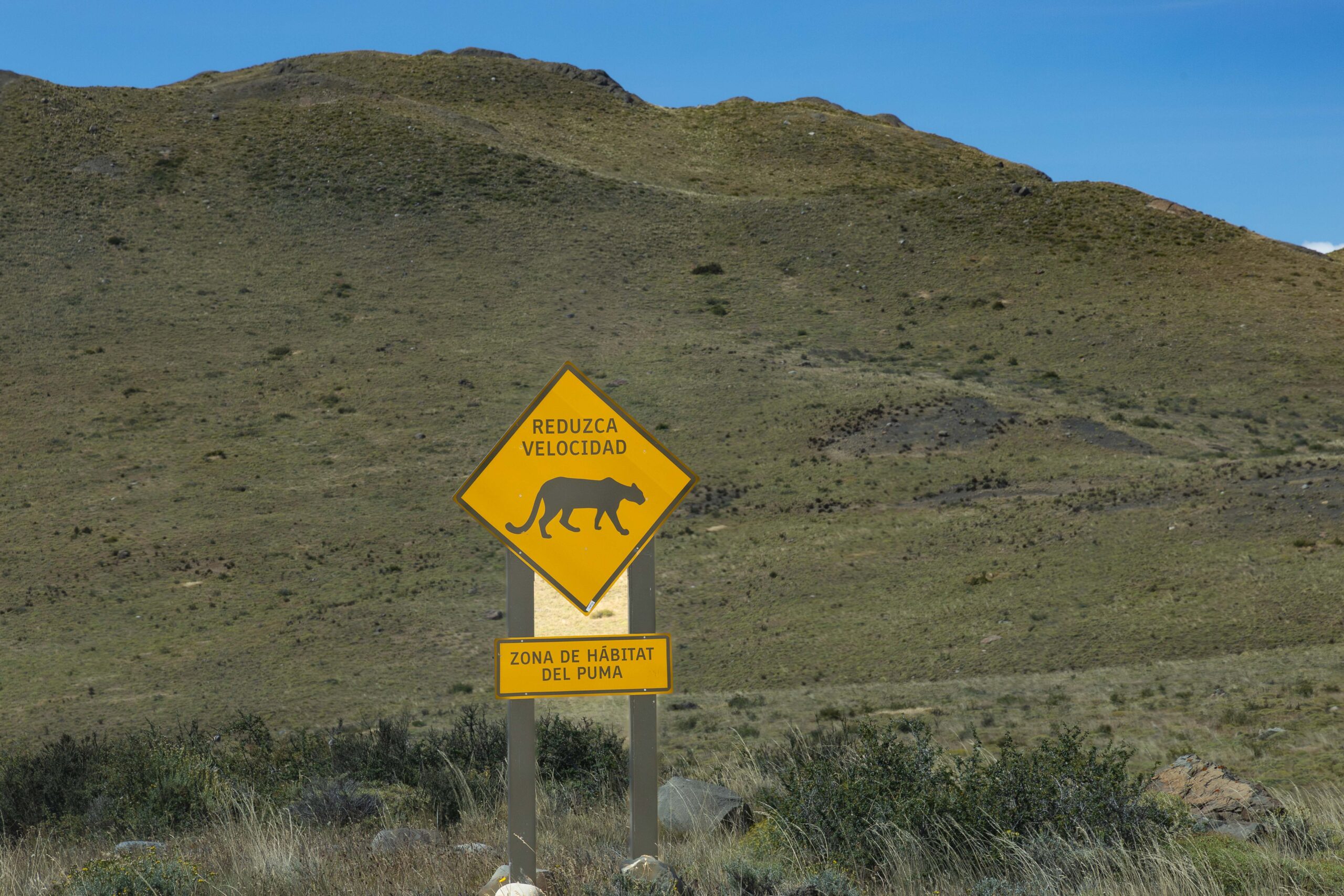 Puma habitat warning sign in Torres del Paine National Park, Chile