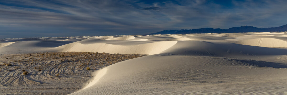 white sands early morning light | large wall art