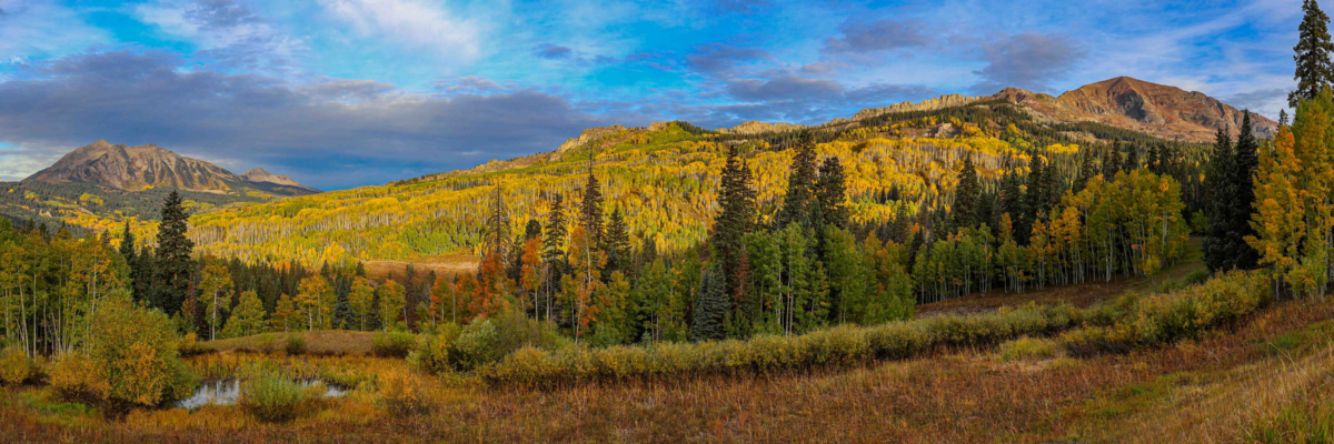 Golden Autumn Colors at Kebler Pass in Colorado