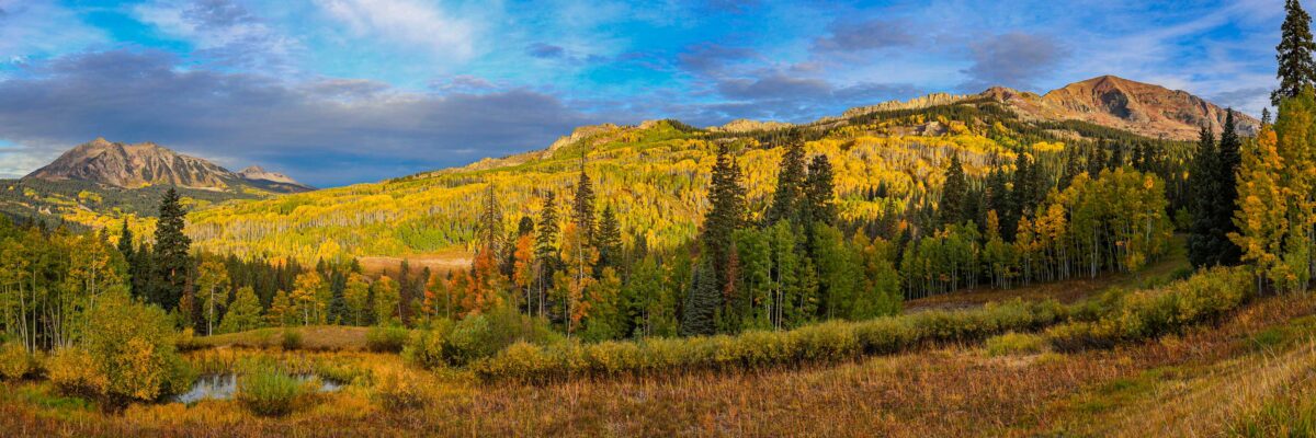 Golden aspen forests and mountains at sunrise near Kebler Pass, Colorado