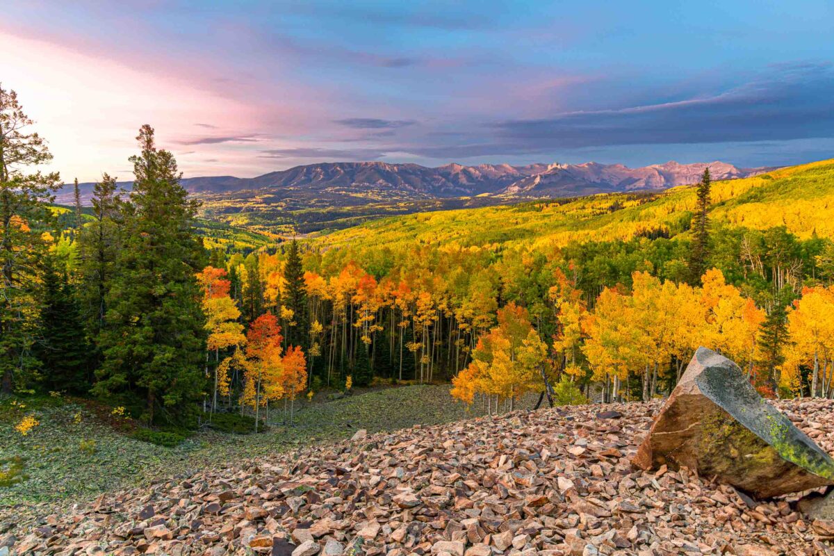 Golden autumn aspens and mountains at sunrise near Ohio Pass, Colorado