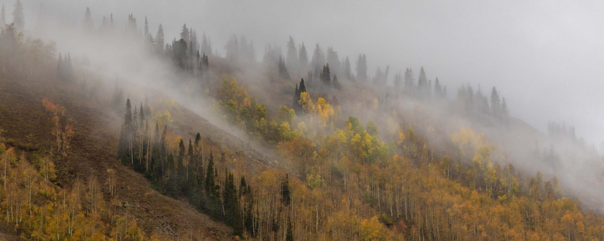 Gothic Road, Crested Butte, Colorado, fall panorama, autumn mist, golden aspens, mountain landscape, large wall art