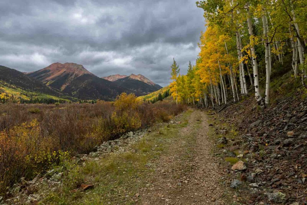 Colorado Fall Colors Near Red Mountain Pass