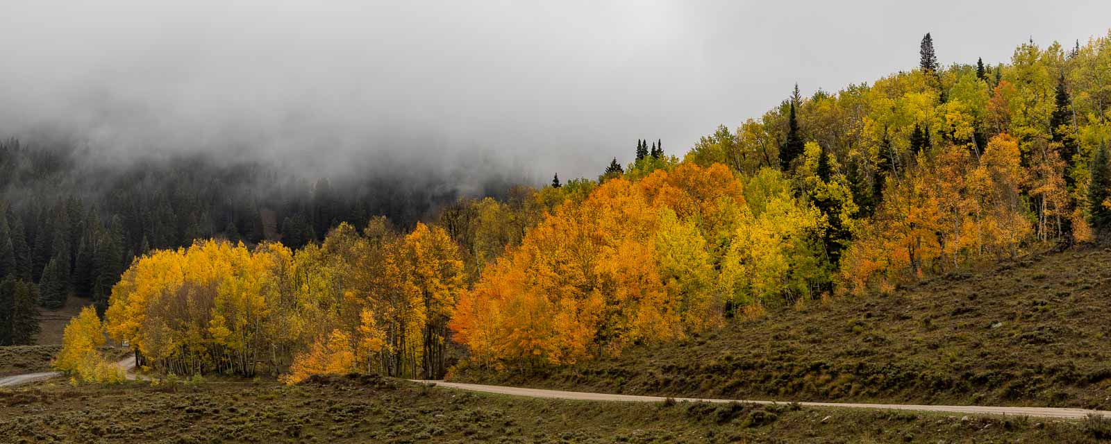 Autumn landscape along Washington Gulch Road near Crested Butte, Colorado