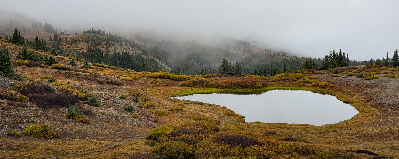 Misty autumn mountain scenery at Cottonwood Pass, Colorado