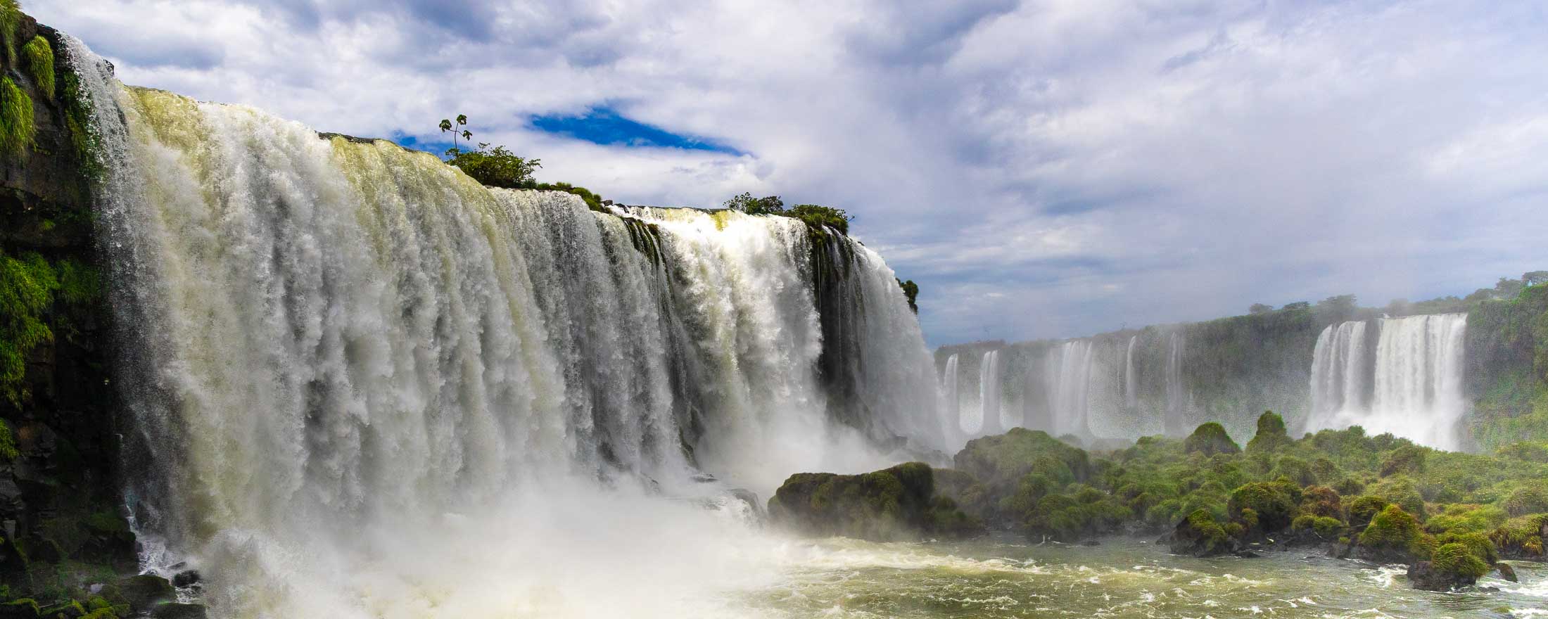 Iguazu Falls rainforest ecosystem