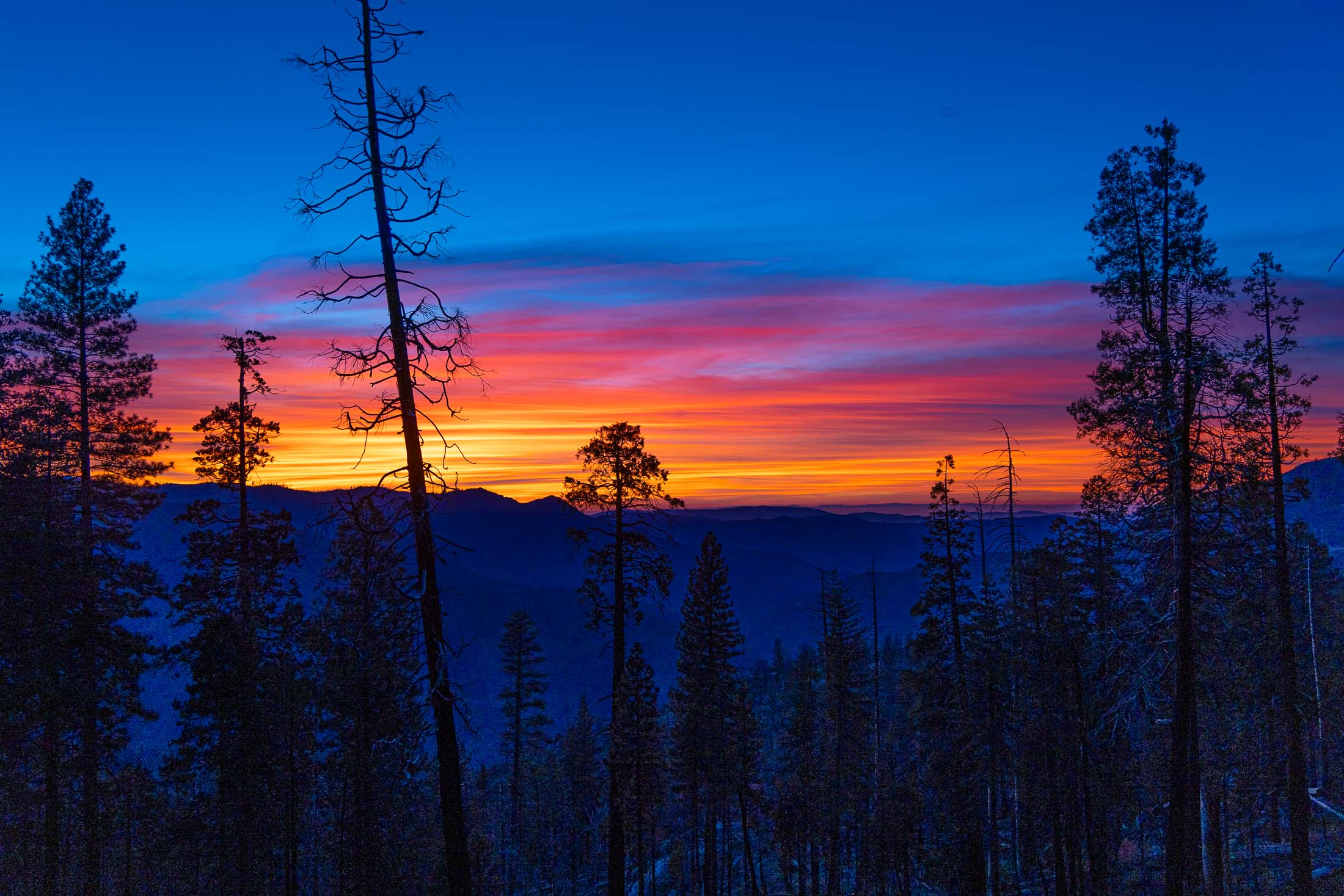 Blue-hour light over Yosemite while driving out of the park