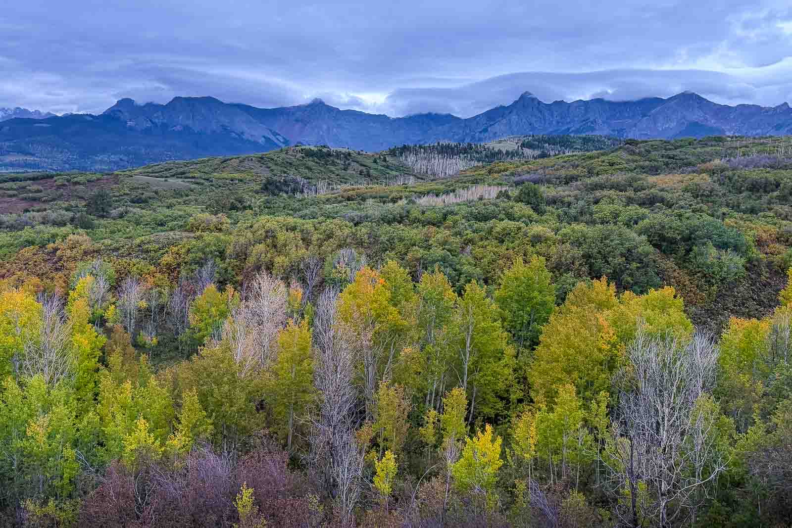 Early fall color beneath cloudy skies in the San Juan Mountains at Dallas Divide
