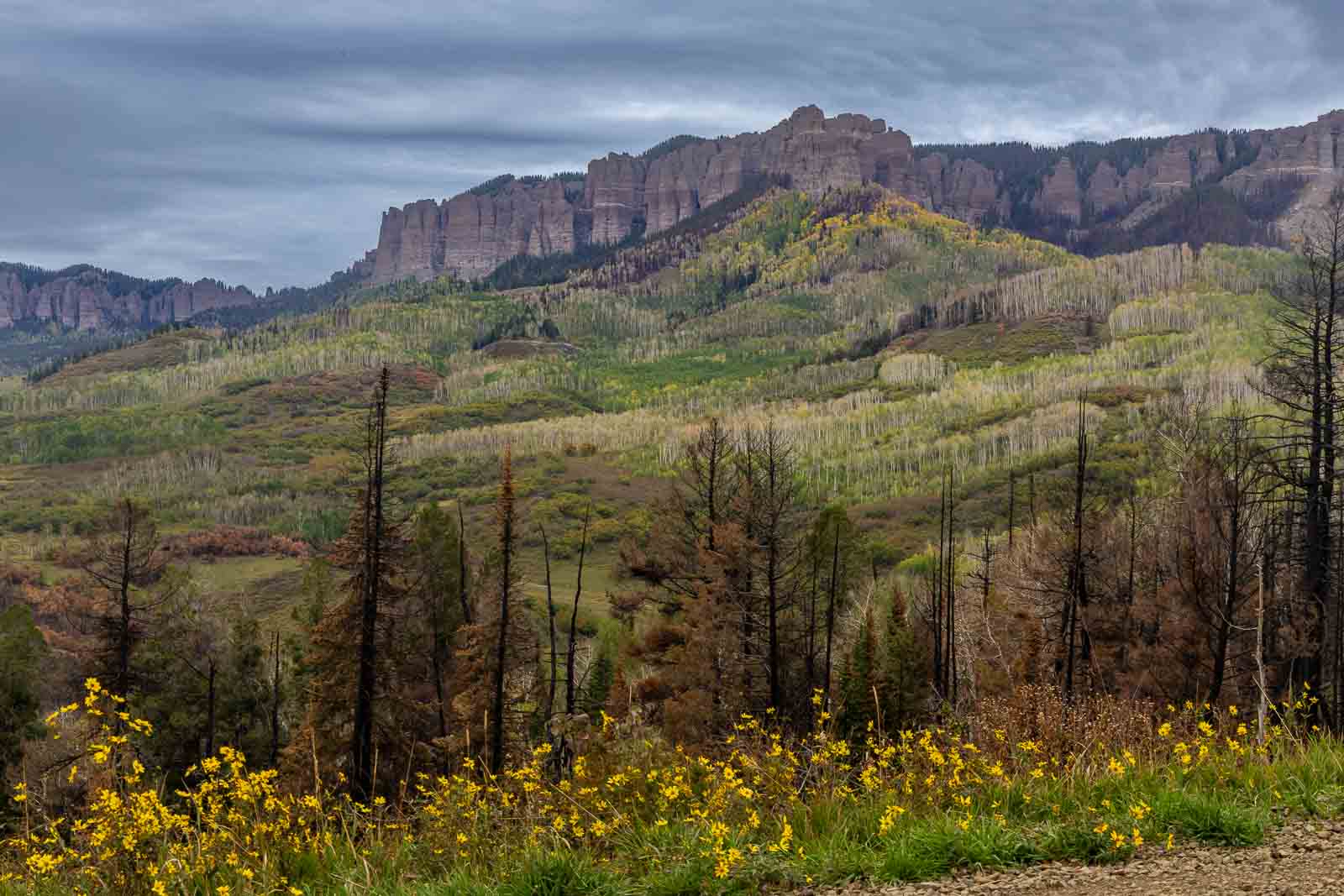 Road through autumn scenery toward Owl Creek Pass in Colorado