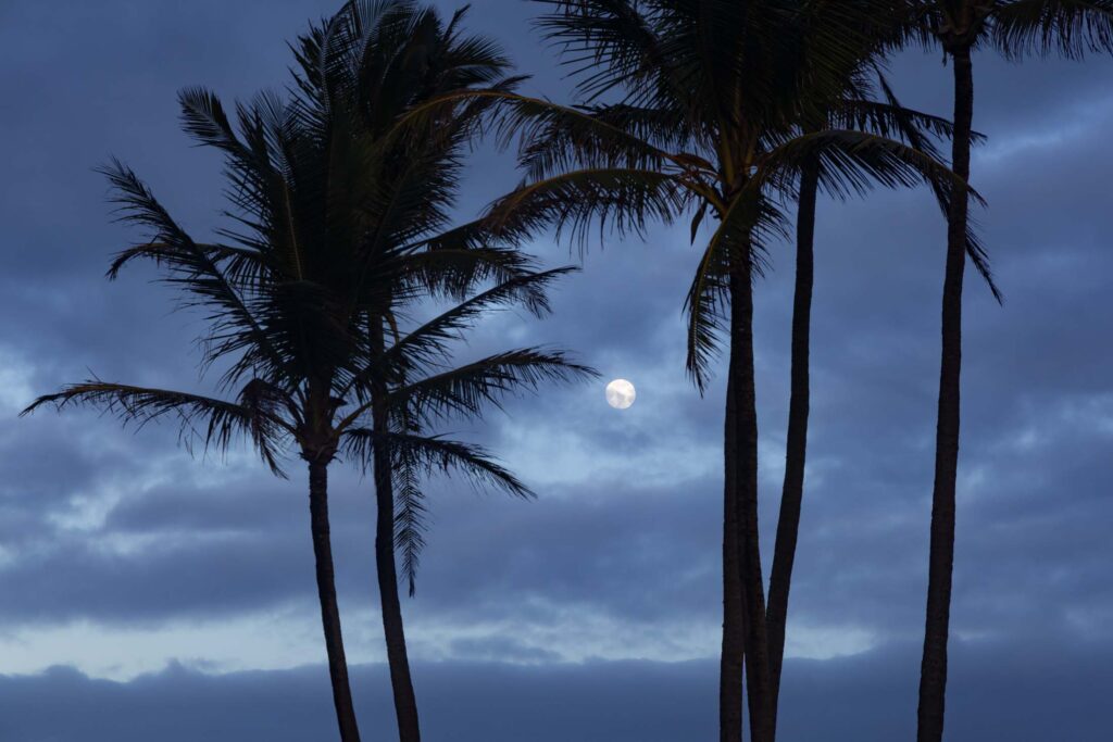 A bright moon framed by silhouetted palm trees against blue twilight clouds in Kapaʻa, Kauai.